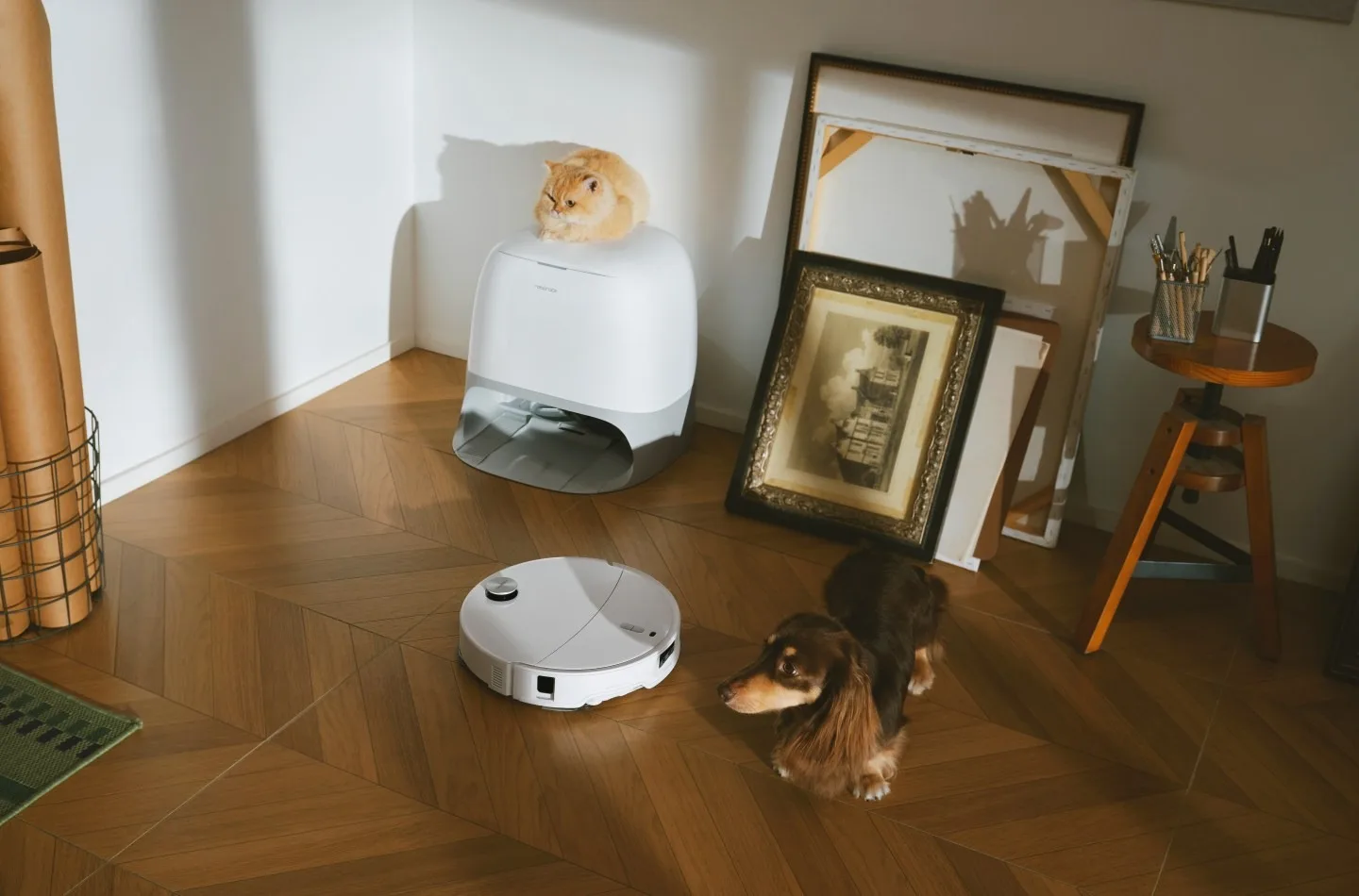 découvrez comment roborock révolutionne l'entretien de votre jardin avec ses nouvelles tondeuses robots rockneo et rockmow, alliant innovation et performance.