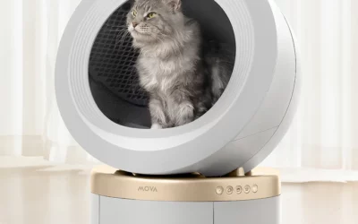 MOVA Meowgic Pod LR10 Prime : La révolution de la litière connectée pour le bien-être félin