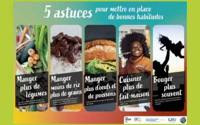 Guide Dreame : les astuces pour entretenir votre robot aspirateur