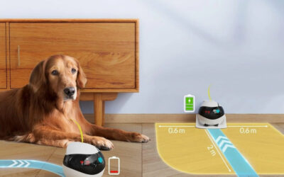 EBO Air 2 Plus : le robot compagnon intelligent qui veille sur vous, divertit et apaise votre quotidien