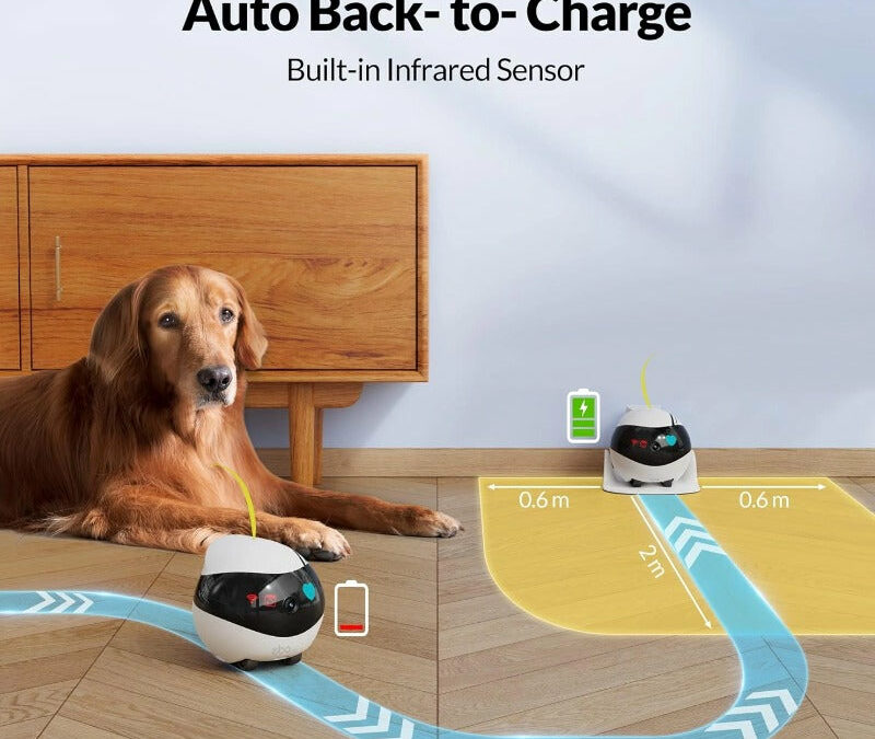 découvrez ebo air 2 plus, le robot compagnon intelligent qui simplifie votre quotidien avec ses fonctionnalités avancées et son design innovant.