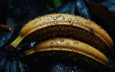 Amazfit V1TAL : la caméra alimentaire innovante pour transformer la nutrition des athlètes