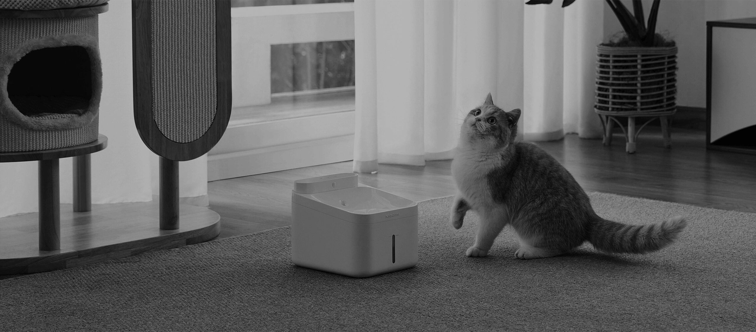 découvrez la xiaomi smart camera c701 pro 4k uhd, une caméra de surveillance intelligente offrant une qualité d'image exceptionnelle, une détection de mouvement avancée et une installation facile pour sécuriser votre domicile en toute simplicité.