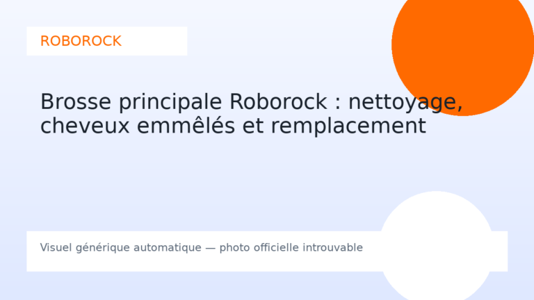 Brosse principale Roborock : nettoyage, cheveux emmêlés et remplacement
